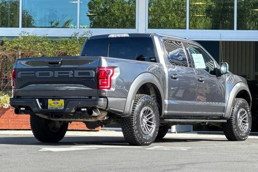 Magnetic Metallic 2020 Ford F-150 Raptor
