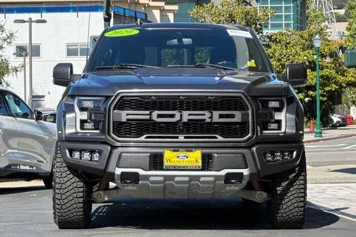Magnetic Metallic 2020 Ford F-150 Raptor