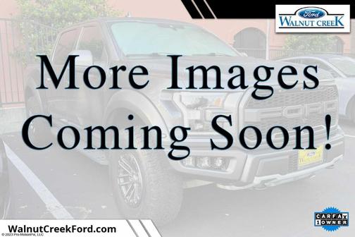 Magnetic Metallic 2020 Ford F-150 Raptor