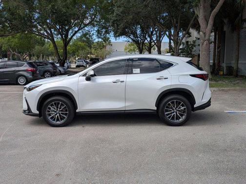 2025 Lexus NX 250 Base