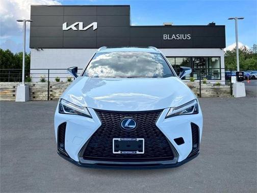 2019 Lexus UX 250h F Sport
