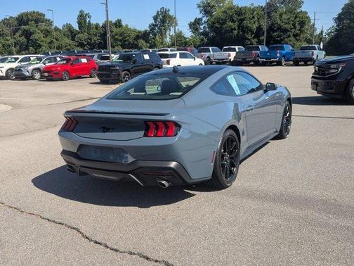 Vapor Blue 2025 Ford Mustang EcoBoost Premium