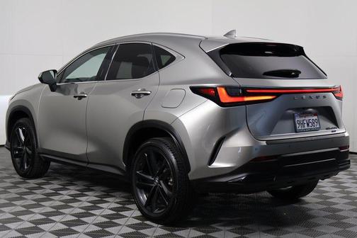 2024 Lexus NX 450h+ Luxury