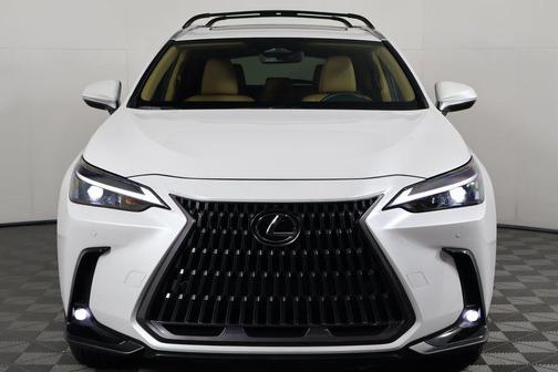 2025 Lexus NX 250 Premium
