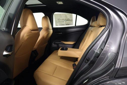 2025 Lexus UX 300h Premium