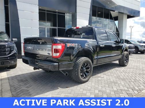 2021 Ford F-150 Platinum