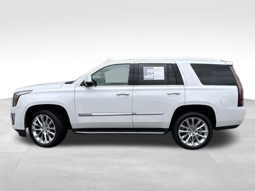 Crystal White Tricoat 2020 Cadillac Escalade Luxury