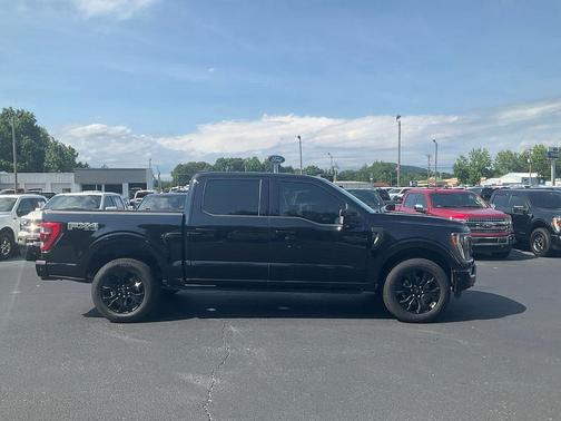 Black Metallic 2022 Ford F-150 Platinum