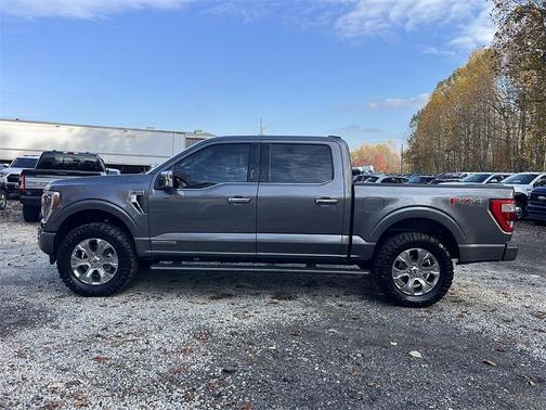 2022 Ford F-150 Platinum