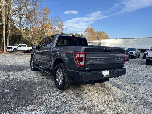 2022 Ford F-150 Platinum