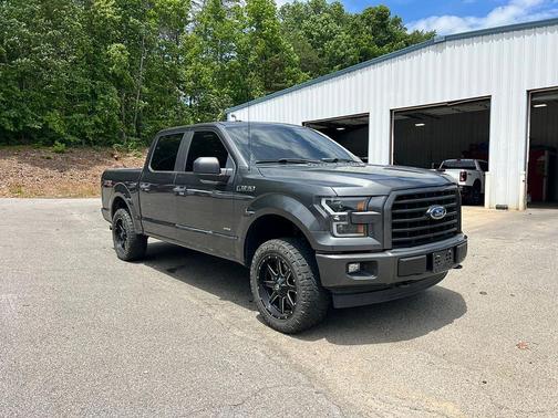 Magnetic 2017 Ford F-150 XL