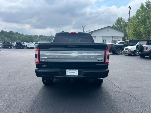 2022 Ford F-150 Platinum