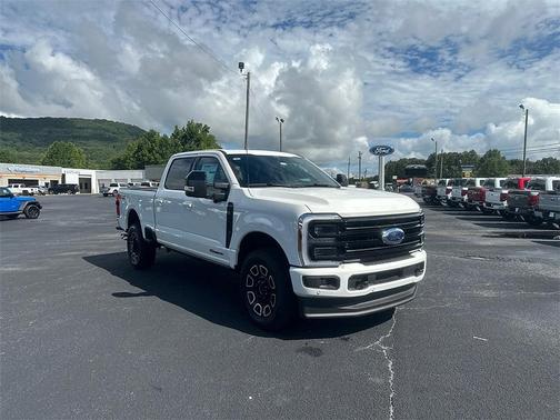 2025 Ford F-250 Platinum