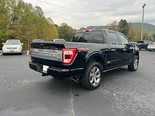 2022 Ford F-150 Platinum