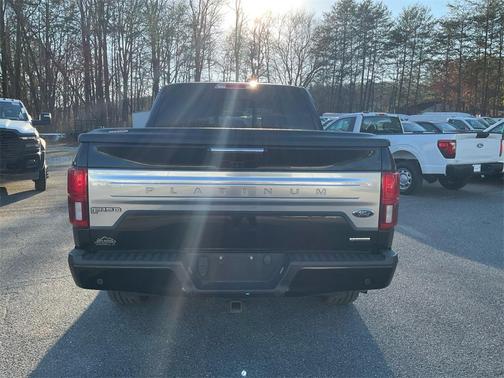 2020 Ford F-150 Platinum