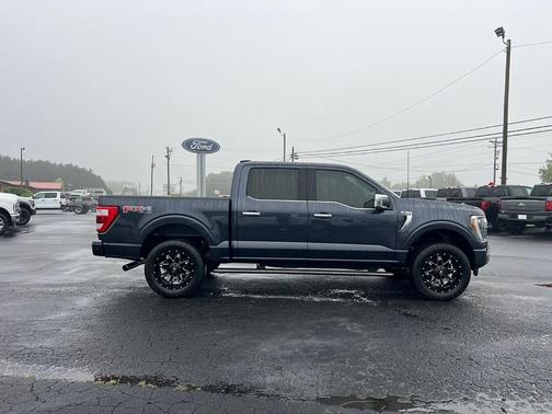 2021 Ford F-150 Platinum