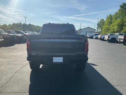 Gray Metallic 2025 Ford F-150 Raptor