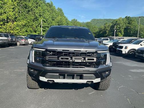 Gray Metallic 2025 Ford F-150 Raptor