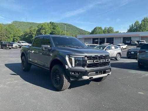 Gray Metallic 2025 Ford F-150 Raptor