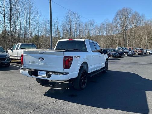 2024 Ford F-150 Platinum