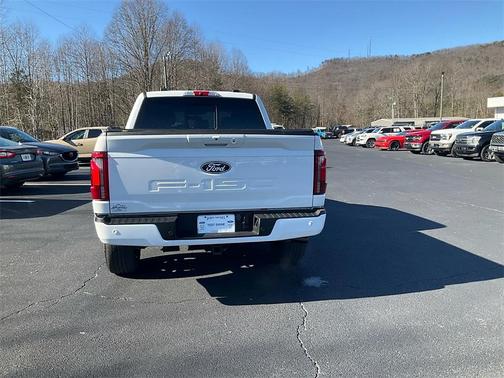 2024 Ford F-150 Platinum