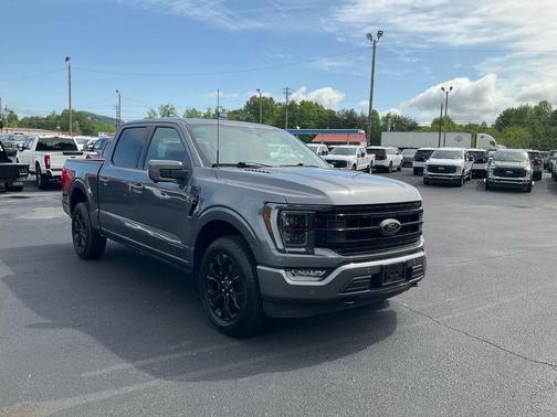 Gray Metallic 2023 Ford F-150 Lariat