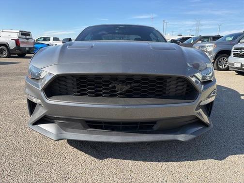 2022 Ford Mustang EcoBoost