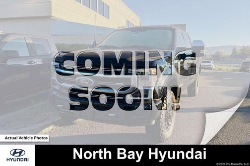 2022 Ford F-250 Platinum