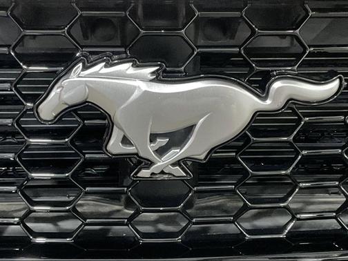 Wimbledon White 2025 Ford Mustang GT Premium