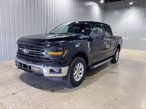 Agate Black Metallic 2025 Ford F-150 XLT