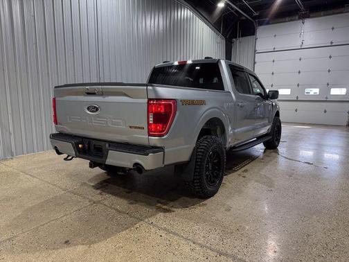 Iconic Silver Metallic 2023 Ford F-150 Tremor