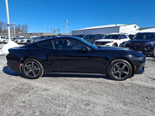Shadow Black 2025 Ford Mustang EcoBoost