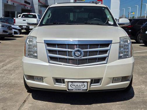 2010 Cadillac Escalade Platinum Edition