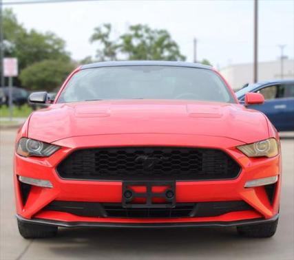 2019 Ford Mustang EcoBoost
