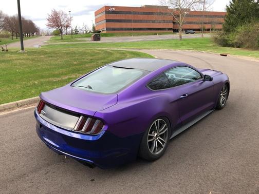 purple and black mustang