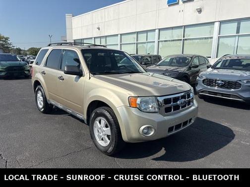 2010 Ford Escape XLT