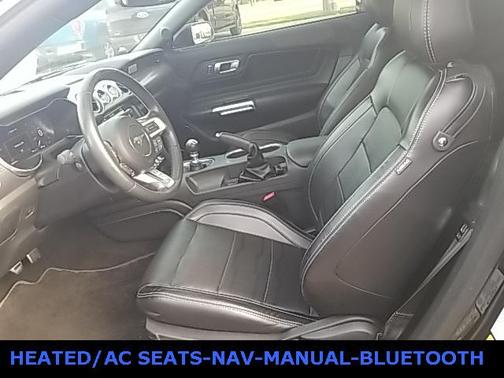 2019 Ford Mustang GT Premium