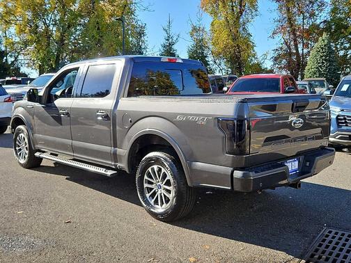 Magnetic Metallic 2019 Ford F-150 XLT