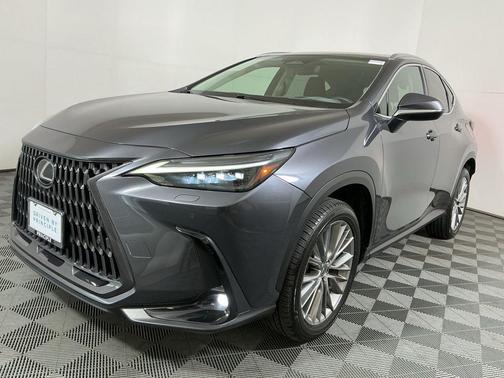 2023 Lexus NX 350 Luxury