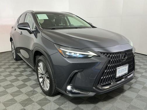 2023 Lexus NX 350 Luxury
