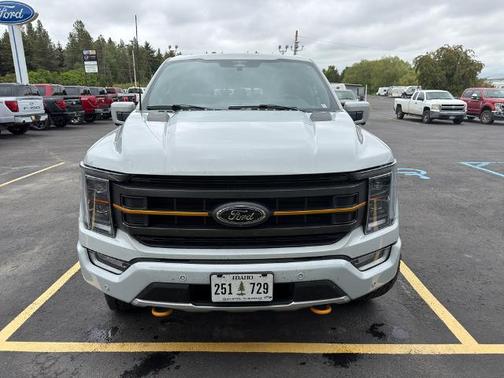 AVALANCHE 2023 Ford F-150 TREMOR