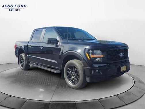 AGATE BLACK METALLIC 2025 Ford F-150 STX