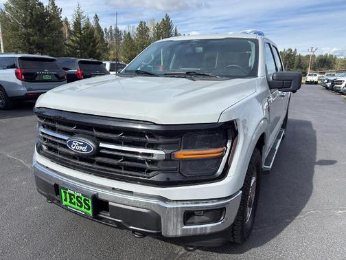 AVALANCHE 2024 Ford F-150 XLT