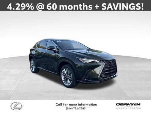2025 Lexus NX 350 Luxury