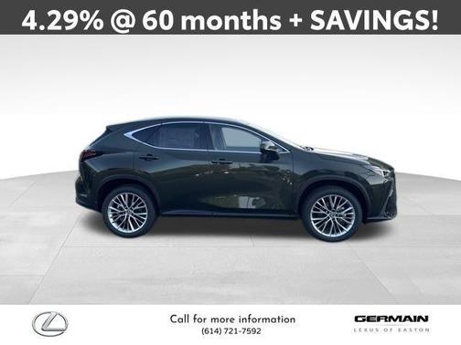 2025 Lexus NX 350 Luxury
