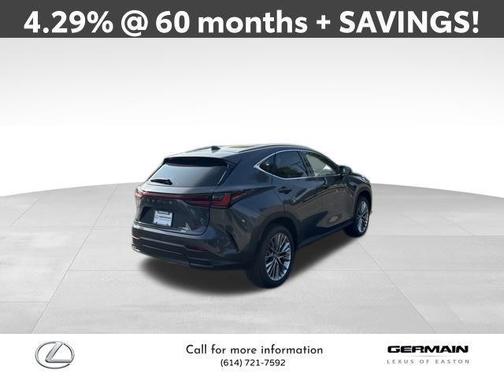 2025 Lexus NX 350 Luxury