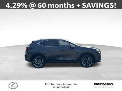 2025 Lexus NX 350 Luxury