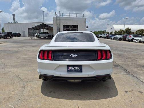Oxford White 2019 Ford Mustang EcoBoost