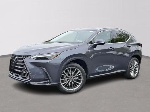 Cloudburst Gray 2024 Lexus NX 350h Luxury