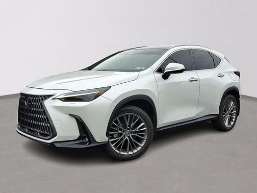 2023 Lexus NX 350h Luxury